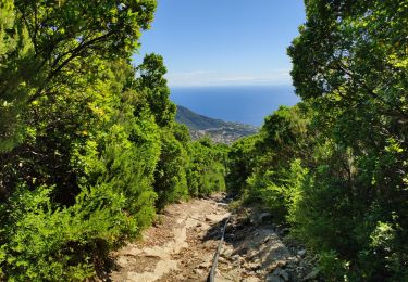 Trail Walking Bastia - tracė - Photo