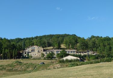 Tocht Te voet la Vall de Bianya - Via Romana del Capsacosta des del Pas dels Traginets - Photo