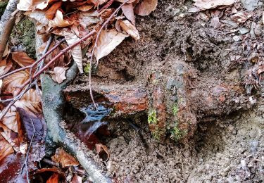 Tour Zu Fuß Waldems - Rundweg Idstein Lauskippel - Nollen - Photo