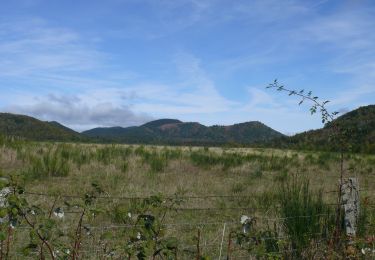 Tocht Stappen Aydat - Col-de-la Ventouse - Photo