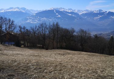 Tour Nordic Walking Arbaz - Pierre fendue - tsouma - Photo