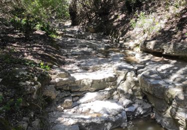 Percorso Marcia Lafare - le tour des dentelles Sarazines - Photo