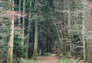 Tocht Stappen  - Baden Baden visite du vieux château  - Photo