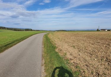 Trail Hybrid bike Grancy - La Chaux - l'Isle - retour - Photo