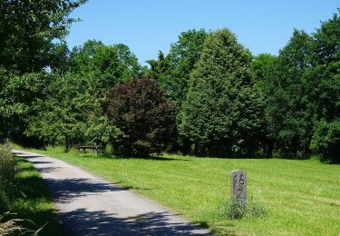 Tocht Te voet Wald - Route 154: Fürster Rundweg - Photo