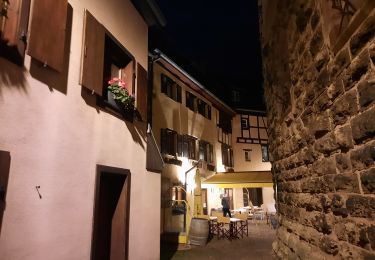 Trail Walking Eguisheim - eguishem- vignoble et château  - Photo