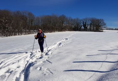 Trail Cross-country skiing Gex - mont mourex - Photo