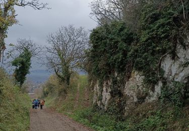 Randonnée Marche Joigny - Rando sur les hauteurs de Joigny  - Photo