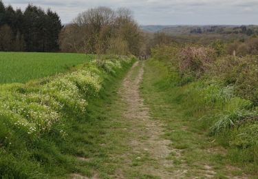 Percorso Marcia Houyet - Randonnée à Houyet 🌼 - Photo