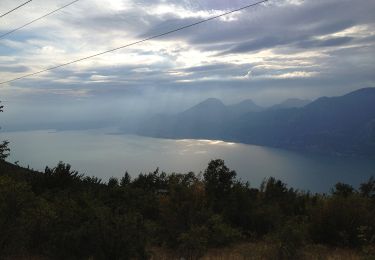 Trail On foot Brenzone sul Garda - Assenza - Rifugio Telegrafo - Photo
