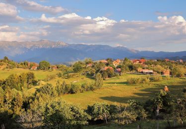 Trail On foot  - Tohănița-Măgura-Fântâna lui Botorog - Photo