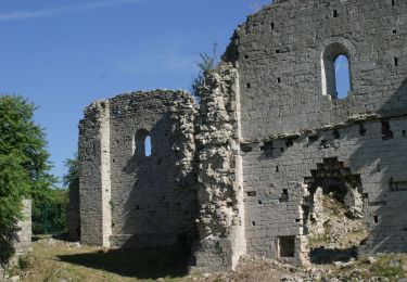 Randonnée Marche Le Pouzin - Le Pouzin 15,4km - Photo