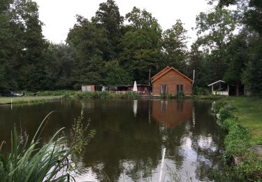 Tour Wandern Villers-la-Ville - Lance et Valy - Photo