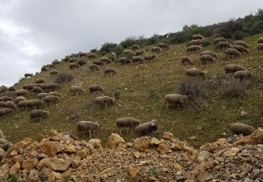 Tour Wandern Lambesc - Canal-Sufferchoix - Photo