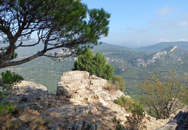 Tour Wandern Toulon - Tour du Faron - Photo