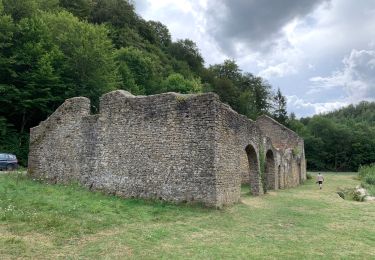 Tocht Stappen Étalle - Vallée de Laclaireau et ruines de Montauban - Photo
