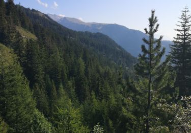 Tour Wandern Ayent - Anzère  - Photo