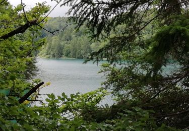 Trail Walking  - lac Plivice - Photo