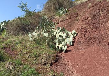 Trail Walking Celles - balade au lac du Salagou  - Photo