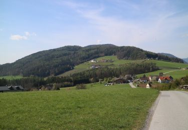 Percorso A piedi Mortantsch - Wanderweg 26 - Photo