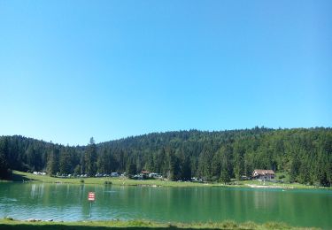 Percorso A piedi Apremont - Le Lac Genin - Photo