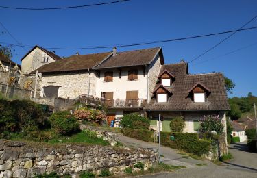 Randonnée Marche Parves-et-Nattages - montagne de Parves - Photo