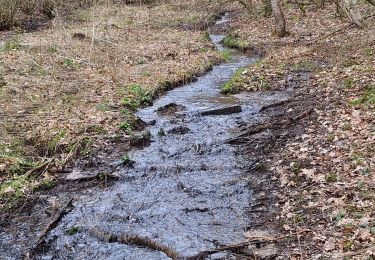 Trail Walking Stoumont - chevron Promenade des fontaines  - Photo