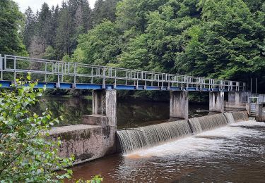 Tour Wandern La Roche-en-Ardenne - GR 57 ETAPE 7: MABOGE-NISRAMONT-CHESSION - Photo