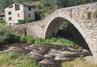 Tour Wandern Saint-Georges-en-Couzan - Randonnée au dessus de Vaux - Photo