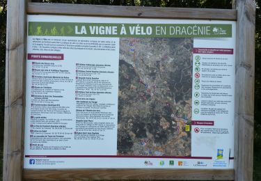 Tour Mountainbike Draguignan - 20190420 Draguignan  Vidauban VTT  - Photo