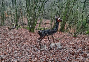 Tour Wandern Habich - adeps marbehan  - Photo