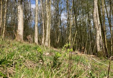 Tour Wandern Dinant - Balade d’Awagne - Photo