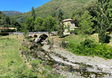 Excursión Bici de montaña Meyrueis - fait GTMC 2022 E5 Valleraugue  - Photo