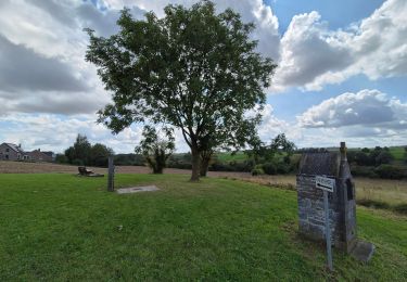 Trail Walking Mettet - Adeps Biesme - Photo