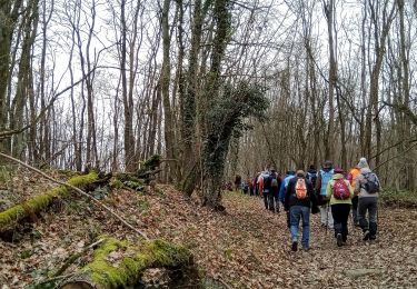 Trail Walking Bouresches - Bouresches du 02-02-2023 - Photo