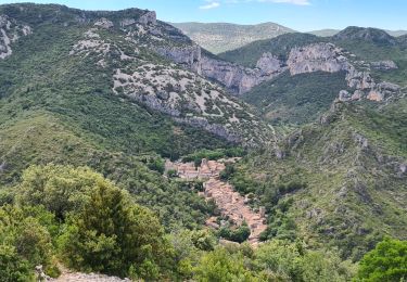 Tour Wandern Puéchabon - puechabon - Photo