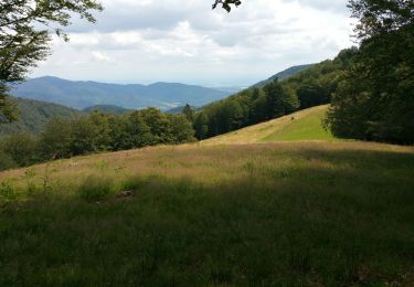 Tour Nordic Walking Oberwessenberg - Refuge Baerenkopf  - Photo