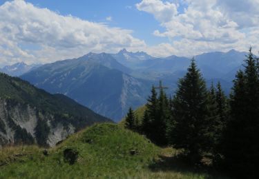 Trail Walking La Tour-en-Maurienne - Croix de la platière (croix des têtes sur IGN) - Photo