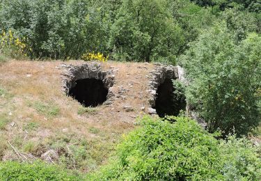 Tocht Te voet Cantagallo - Sentiero CAI 48 - Sez. Prato - Photo