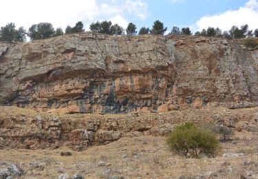 Randonnée A pied Qiryat Shemona - IL-2050 - Photo