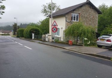 Percorso A piedi Celles-sur-Durolle - Le Puy d'Oscot - Photo