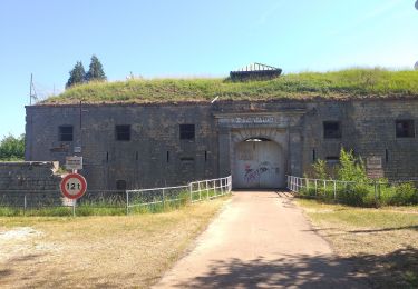 Randonnée Marche Montfaucon - Montfaucon : son château, ses forts - Photo