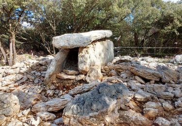 Tocht Stappen Grospierres - Grospierre-Col de Cize-Font Vive - Photo