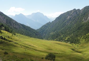 Tocht Te voet San Pietro di Cadore - IT-169 - Photo