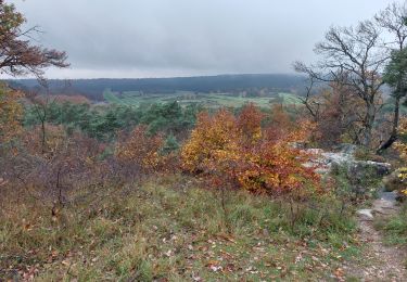Tocht Stappen Fontainebleau - solle 7 - Photo