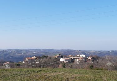 Trail Walking Tournon-sur-Rhône - Mauves  - Photo