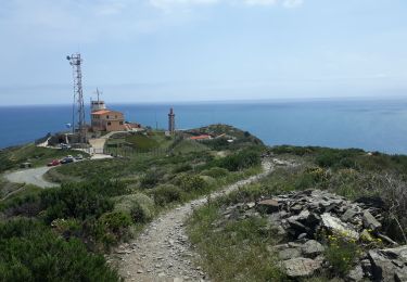 Percorso Marcia Port-Vendres - cap bear - Photo