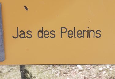 Trail Walking Bédoin - Mont Ventoux Jas des Peĺerins - Photo