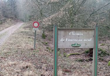 Randonnée Marche Baerenthal - schmalenthal, bannstein, hammerschless - Photo