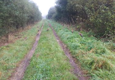 Tocht Stappen La Celle-les-Bordes - hauts de besnieres - Photo